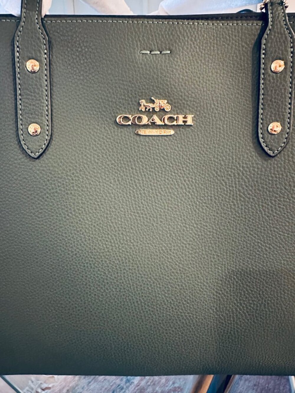 NWT - COACH TOWN TOTE - EVERGREEN - Picture 7 of 9